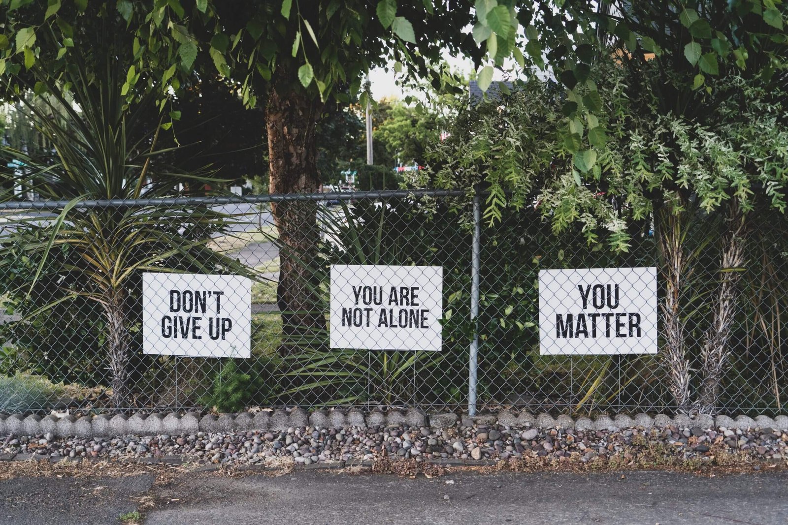 Finding Purpose and Personal Development: Navigating Life’s Twists for Better Mental Health